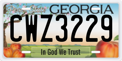 GA license plate CWZ3229