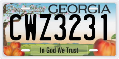 GA license plate CWZ3231