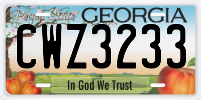 GA license plate CWZ3233