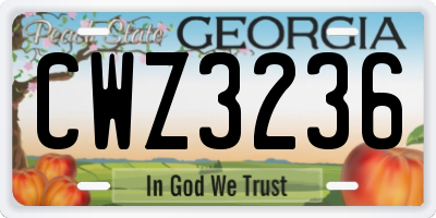 GA license plate CWZ3236