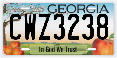 GA license plate CWZ3238