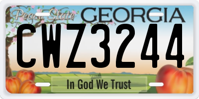 GA license plate CWZ3244