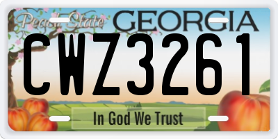 GA license plate CWZ3261