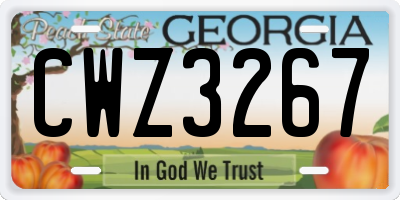 GA license plate CWZ3267