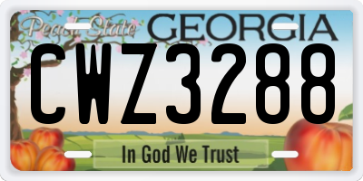 GA license plate CWZ3288