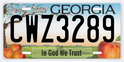 GA license plate CWZ3289