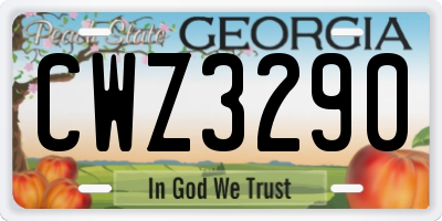 GA license plate CWZ3290