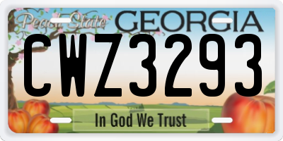 GA license plate CWZ3293