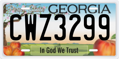 GA license plate CWZ3299