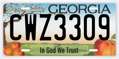 GA license plate CWZ3309
