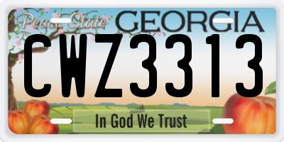 GA license plate CWZ3313