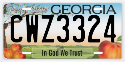 GA license plate CWZ3324