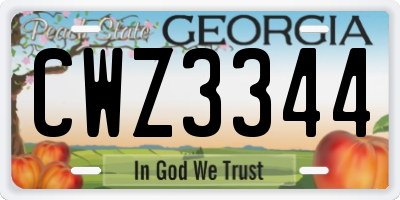 GA license plate CWZ3344