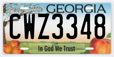 GA license plate CWZ3348