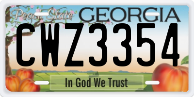 GA license plate CWZ3354