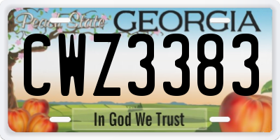 GA license plate CWZ3383