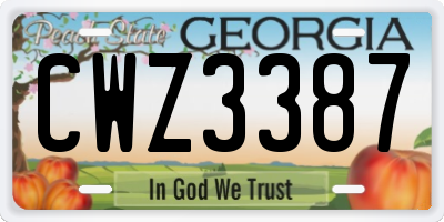 GA license plate CWZ3387