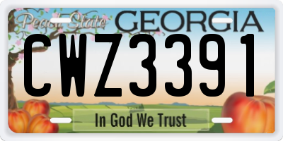 GA license plate CWZ3391