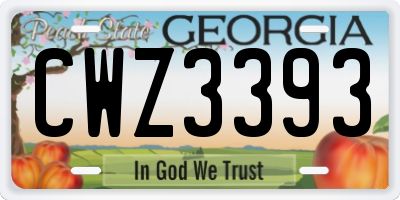 GA license plate CWZ3393