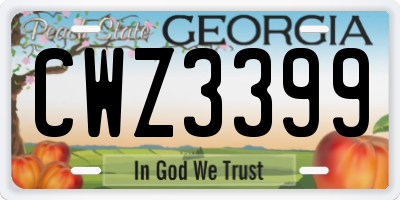 GA license plate CWZ3399