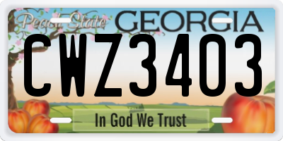 GA license plate CWZ3403