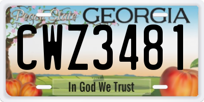GA license plate CWZ3481