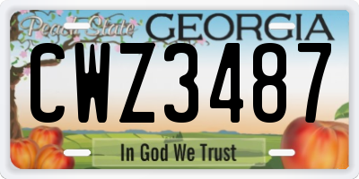 GA license plate CWZ3487