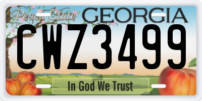 GA license plate CWZ3499
