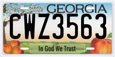 GA license plate CWZ3563