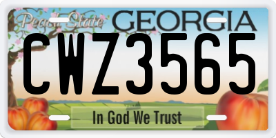 GA license plate CWZ3565