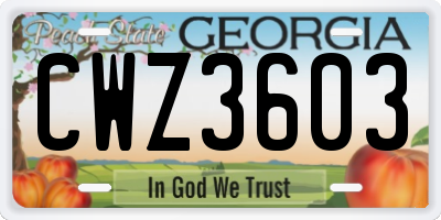 GA license plate CWZ3603