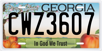 GA license plate CWZ3607