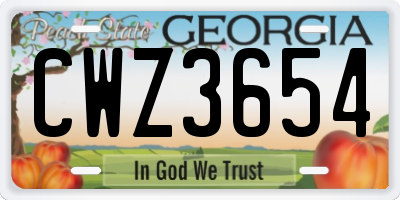GA license plate CWZ3654