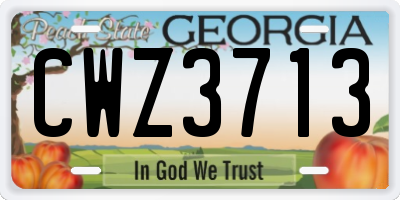 GA license plate CWZ3713