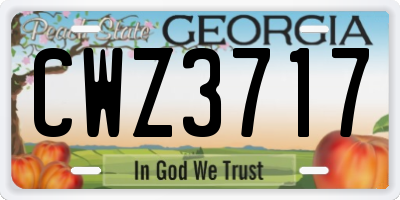 GA license plate CWZ3717