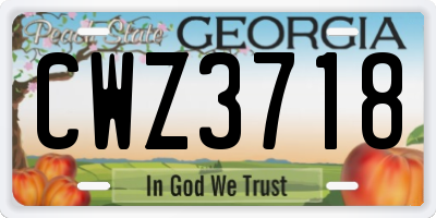 GA license plate CWZ3718