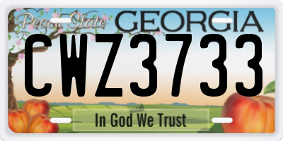 GA license plate CWZ3733