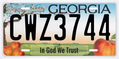GA license plate CWZ3744