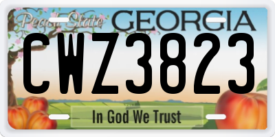 GA license plate CWZ3823