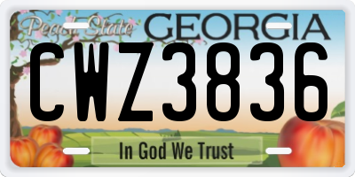 GA license plate CWZ3836