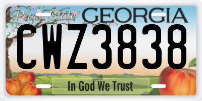 GA license plate CWZ3838