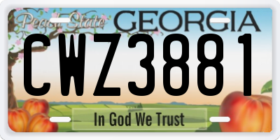 GA license plate CWZ3881