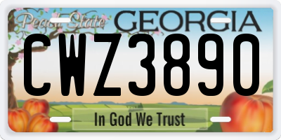 GA license plate CWZ3890