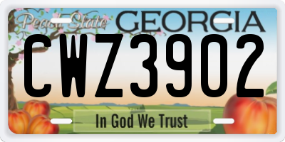 GA license plate CWZ3902