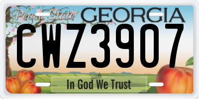 GA license plate CWZ3907