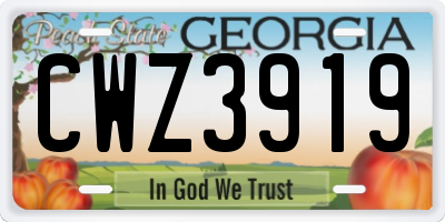 GA license plate CWZ3919