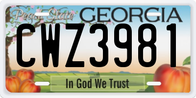 GA license plate CWZ3981