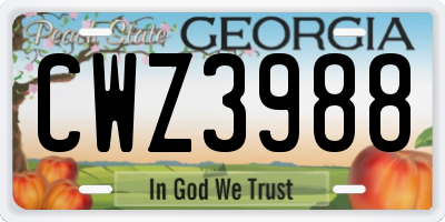 GA license plate CWZ3988