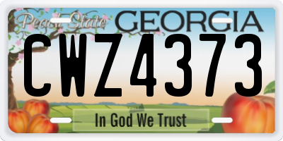 GA license plate CWZ4373