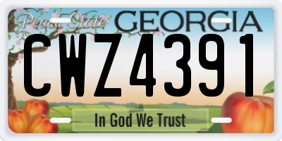 GA license plate CWZ4391